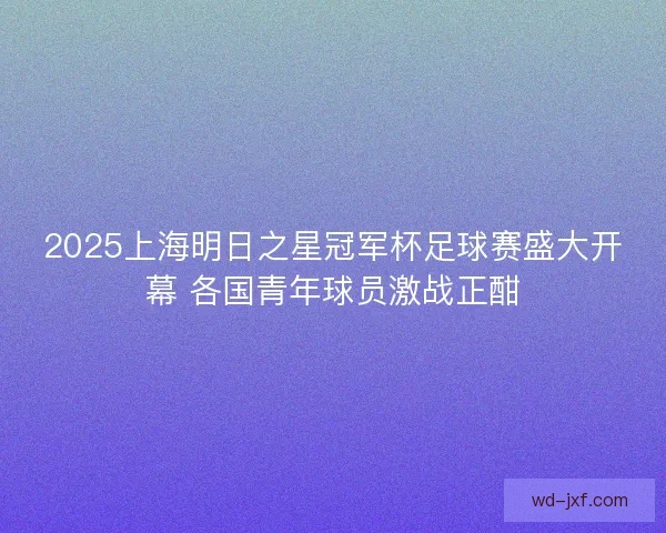 2025上海明日之星冠军杯足球赛盛大开幕 各国青年球员激战正酣